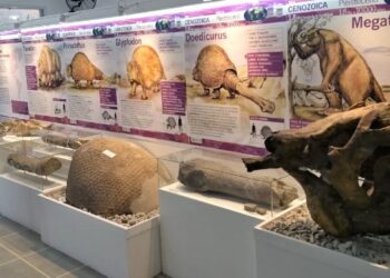 Museo de Ciencias Naturales Vicente Di Martino