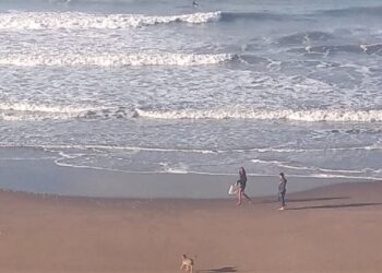 Pronóstico del tiempo de Monte Hermoso y Sauce Grande