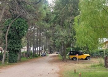 Cuarta edición del Programa Previaje