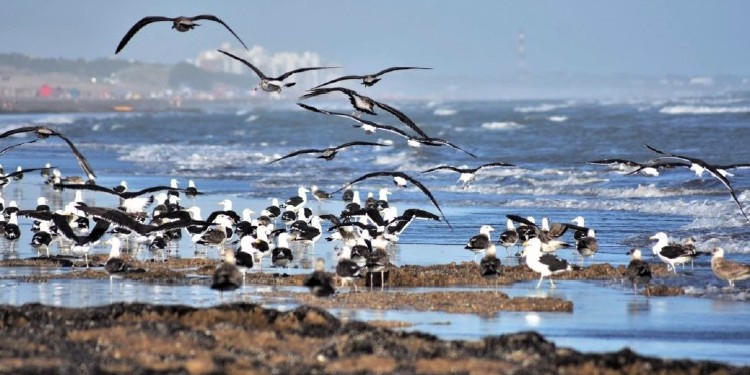 Pronóstico del tiempo extendido en Monte Hermoso y Sauce Grande