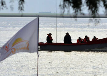 Concurso de pesca en Sauce Grande