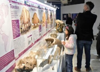 Museo de Ciencias Naturales Vicente Di Martino