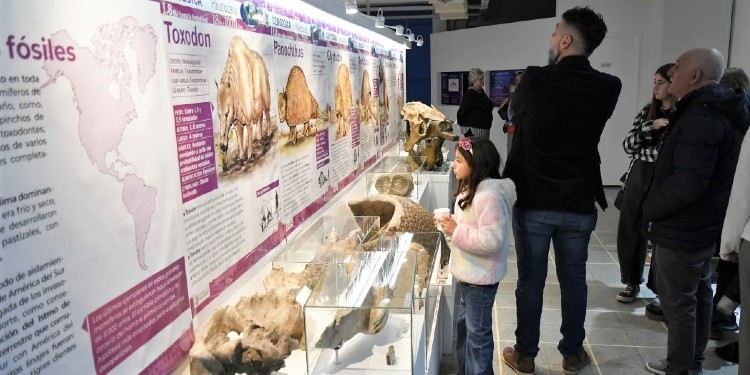 Museo de Ciencias Naturales Vicente Di Martino