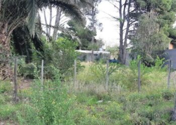 Denuncia por usurpación de Terreno