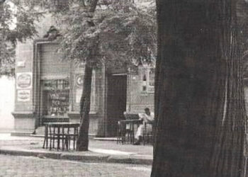 Todos los bares, un bar