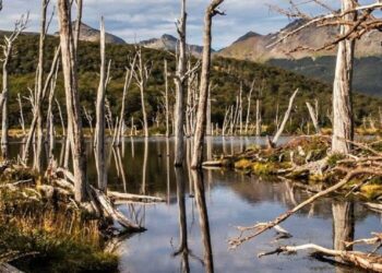 National Geographic sugiere cinco destinos turísticos de la región sur de Argentina para vacacionar