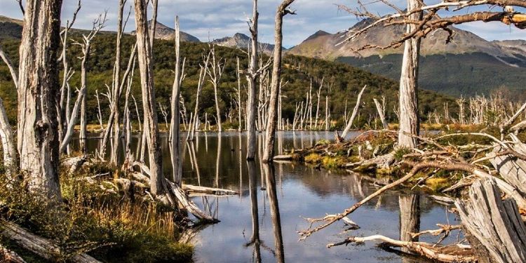 National Geographic sugiere cinco destinos turísticos de la región sur de Argentina para vacacionar