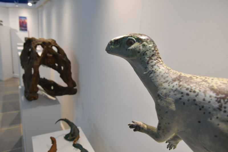 Dinosaurios en 3d en el museo de ciencias naturales