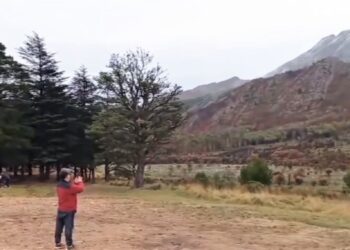 Imágenes de la ocasional nevada que alcanzó a cubrir las cumbres de Sierra de la Ventana