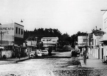 Lecturas de domingo. Una historia de murciélagos, Domos y mosquitos