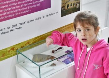 Niña en el Museo de Ciencias Naturales