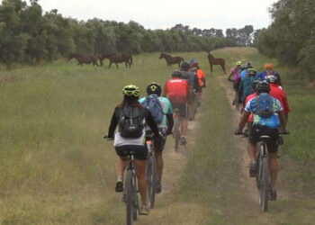 Oleoturismo en Coronel Dorrego