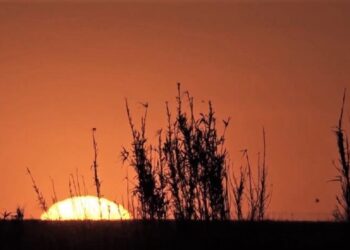 «Favaloro, entre Bahía Blanca y Jacinto Arauz». Sensaciones en vísperas del estreno del documental