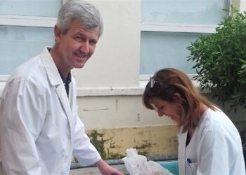 Favio Torre, titular de Bromatología