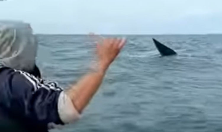Pescadores saludan a ballenas en Monte Hermoso