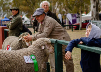 Está en marcha una nueva edición de la exposición de la Sociedad Rural de Bahía Blanca en Villa Bordeu