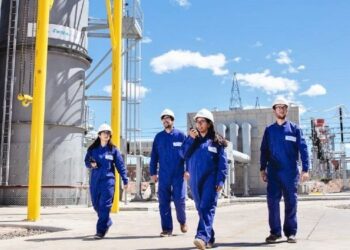 Gestión de Energía Renovables