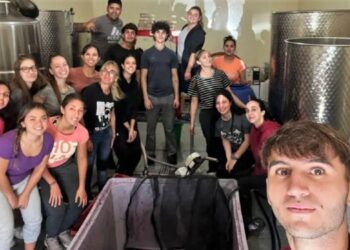 Producción de Vino Malbec Universidad Maza, Mendoza