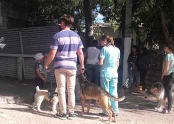 Campaña de castración de mascotas en Monte Hermoso
