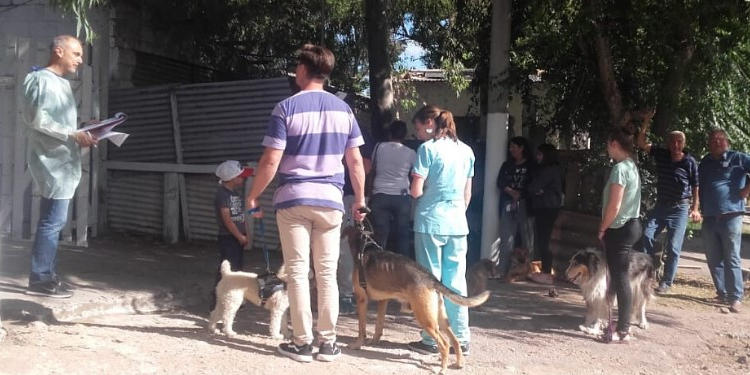 Campaña de castración de mascotas en Monte Hermoso