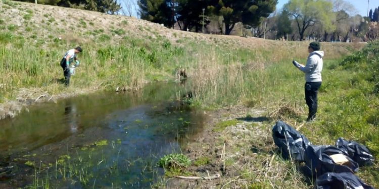 Censo de basura y limpieza manual del Arroyo Napostá