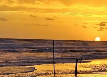 Clima en Monte Hermoso y Sauce Grande