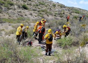 Bomberos voluntarios en jornada en Carmen de Patagones