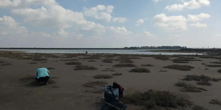 Censo costero en Bahía Blanca Tellus