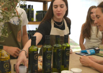 Estilo Oliva ruta del olivo y la miel en Dorrego