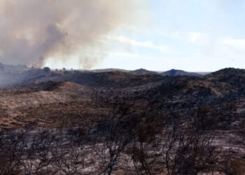 Incendio en Monte Hermoso Monte Simón