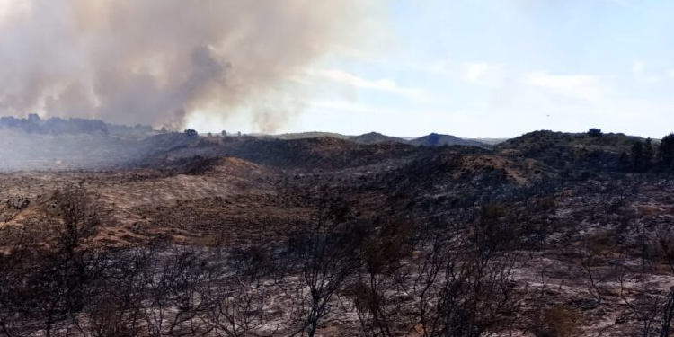 Incendio en Monte Hermoso Monte Simón