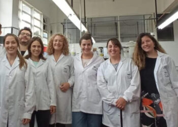 Investigadores de Mar del Plata energía renovable