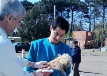 Campaña de vacunación antirrábica