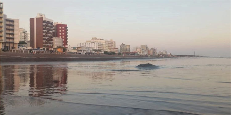 Clima en Monte Hermoso para Navidad