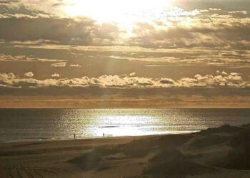 Clima en Monte Hermoso y Sauce Grande playa