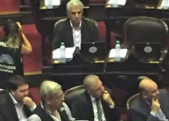 Diputado falso (bautizado “el diputrucho”)