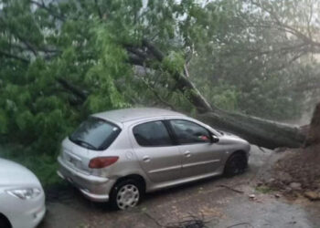 Temporal en Bahía Blanca