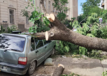 Temporal en Bahía Blanca emergencias y avisos