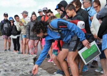 visitas guiadas del Museo Di Martino a la Reserva Pehuén-Co - Monte Hermoso