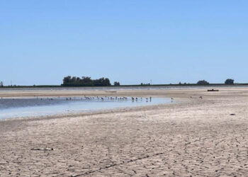 sequía en las lagunas del sudoeste bonaerense
