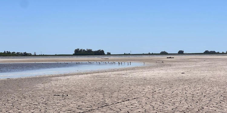 sequía en las lagunas del sudoeste bonaerense