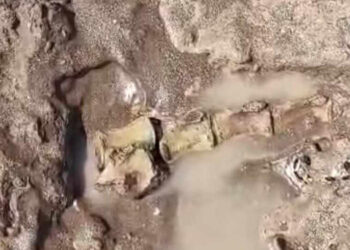 Emocionante hallazgo de restos fósiles por parte de turistas neuquinos en Monte Hermoso