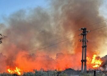 Resaltan la intervención de los bomberos de Monte Hermoso para sofocar el incendio cerca del Sinuoso Oeste