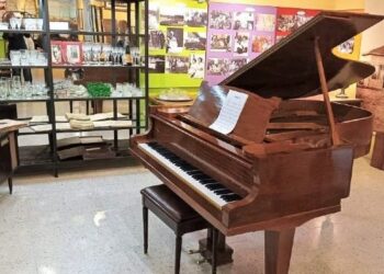 Mucho por hacer en Monte Hermoso. Horario de los museos, visitas a la Reserva y Charlas Veraniegas