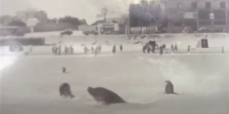 Playa de Monte Hermoso