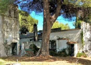 Mitos, leyendas y misterios del imponente Tico Tico