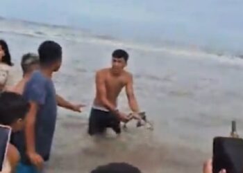 Video. Crece el estupor al ver a turistas jugueteando con un “tiburoncito” en una playa bonaerense