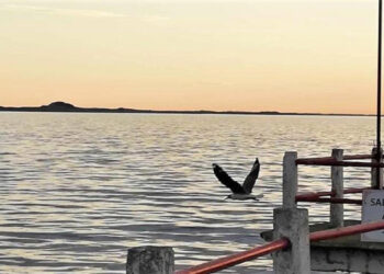 Vista de la Laguna Sauce Grande