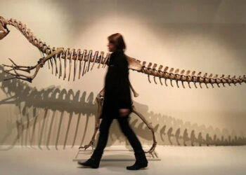 A 200 años de la primera descripción de un dinosaurio