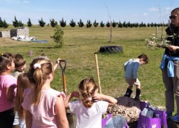 En Coronel Dorrego promueven en jardines de infantes el conocimiento sobre la actividad olivícola